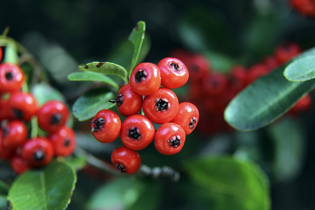 模仿热火和 模仿热火和